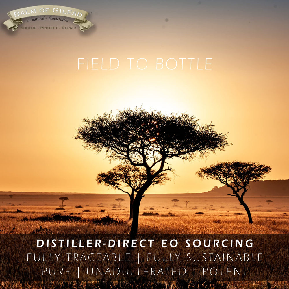BALM OF GILEAD diabetic-skin care scene highlighting nourishing cream
