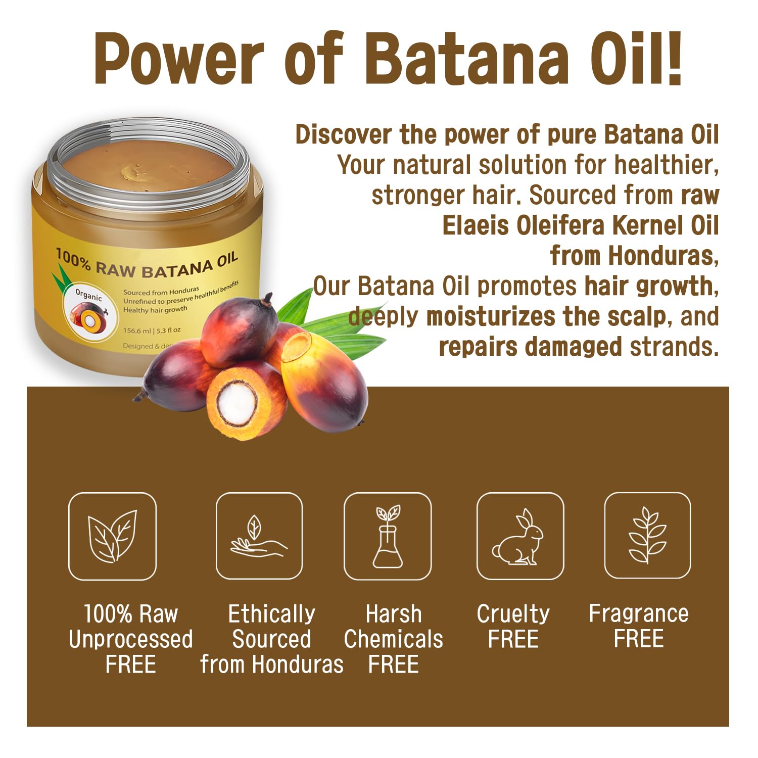 Aceite de batana ayuda a reparar puntas dañadas y rizos definidos