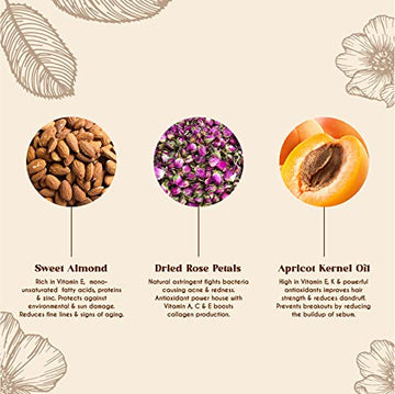 BEAUTE DE PROVENCE aceite antioxidante con vitamina E
