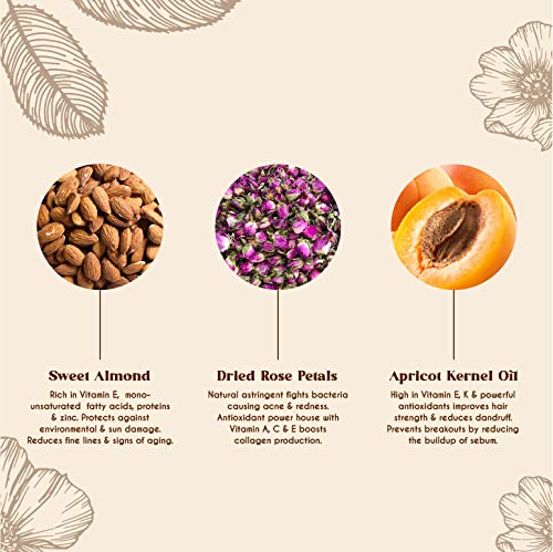BEAUTE DE PROVENCE aceite antioxidante con vitamina E