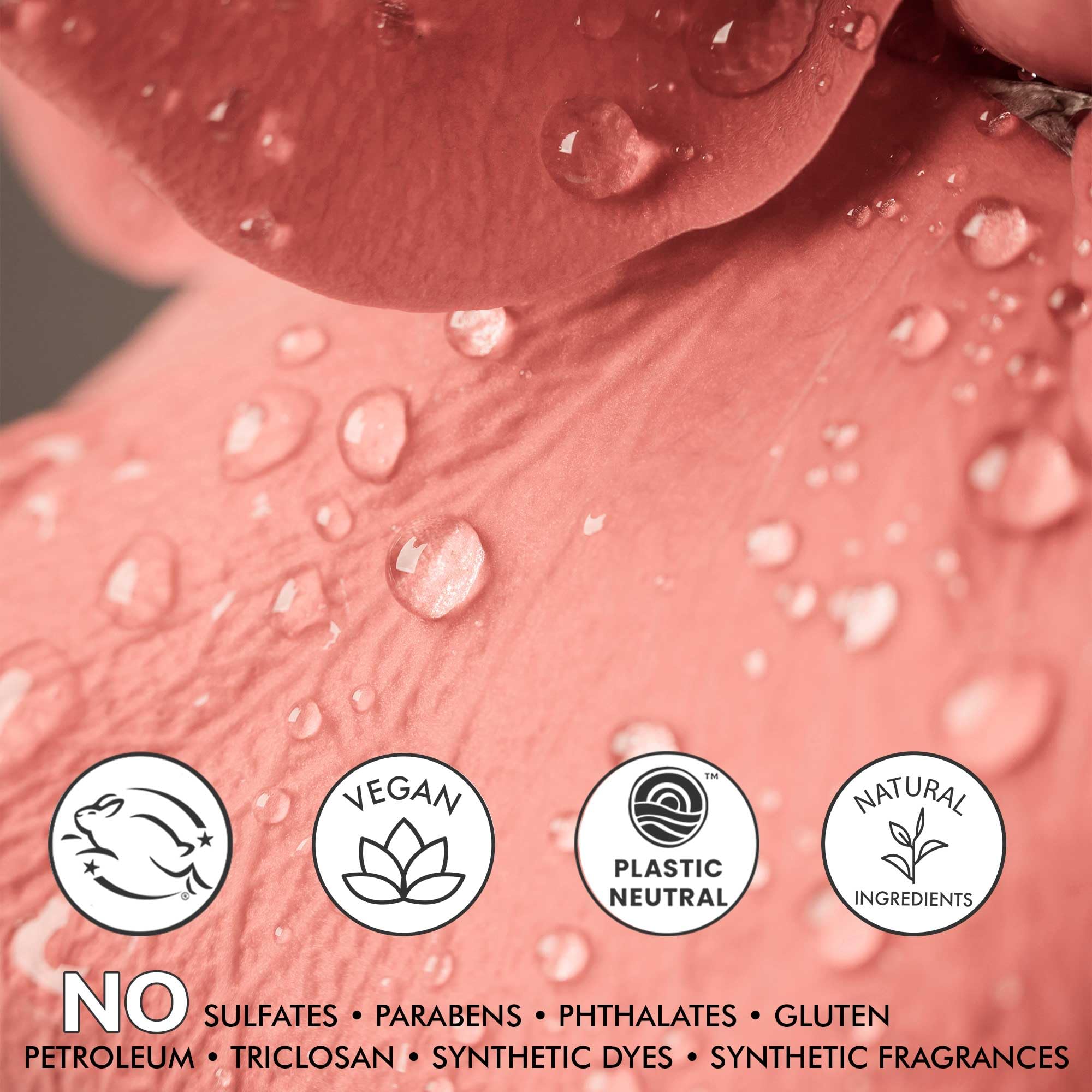 Beauty by Earth – Agua de rosas en spray facial, sin alcohol, ingredientes naturales, hecho en EE. UU.