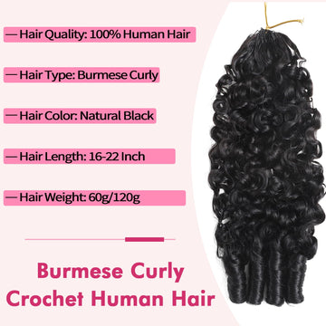 Beauty Queen 60g por paquete, fibra premium lista para volumen.