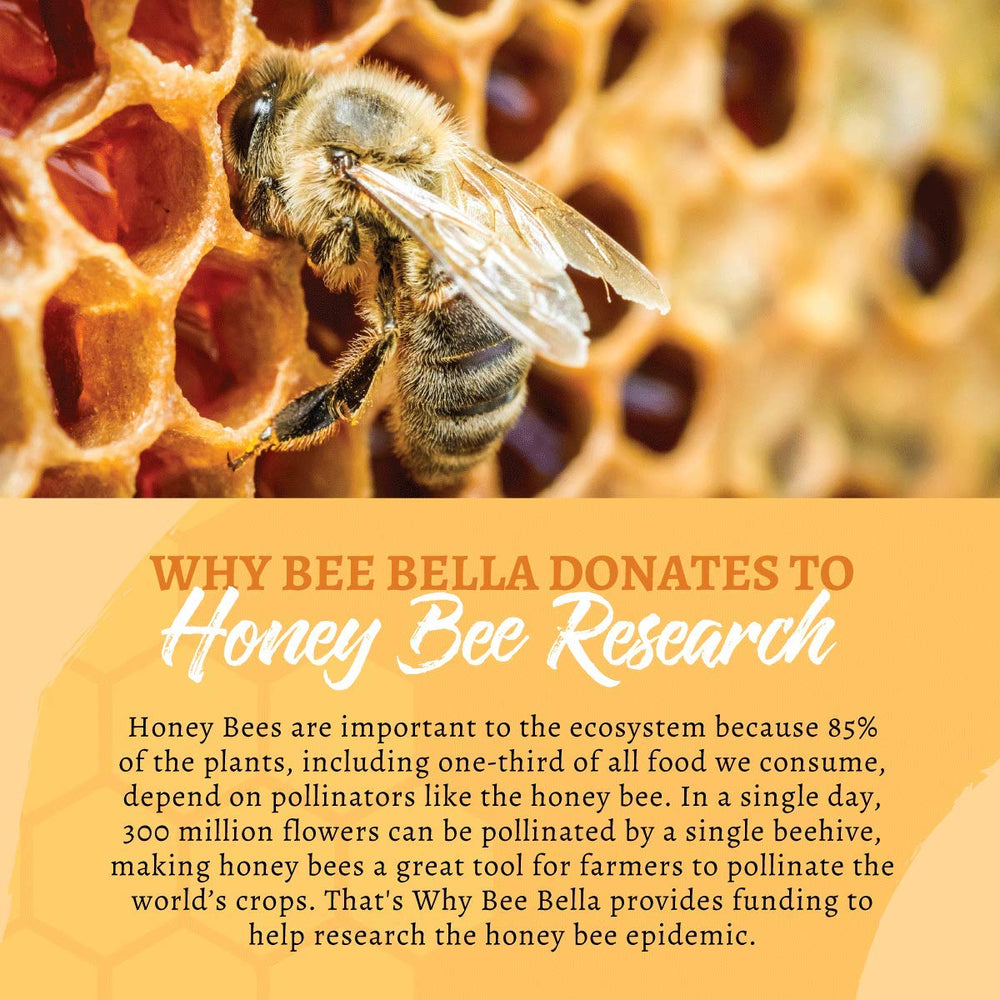 Bee Bella baume lèvres menthe - ingrédients naturels et nourrissants.