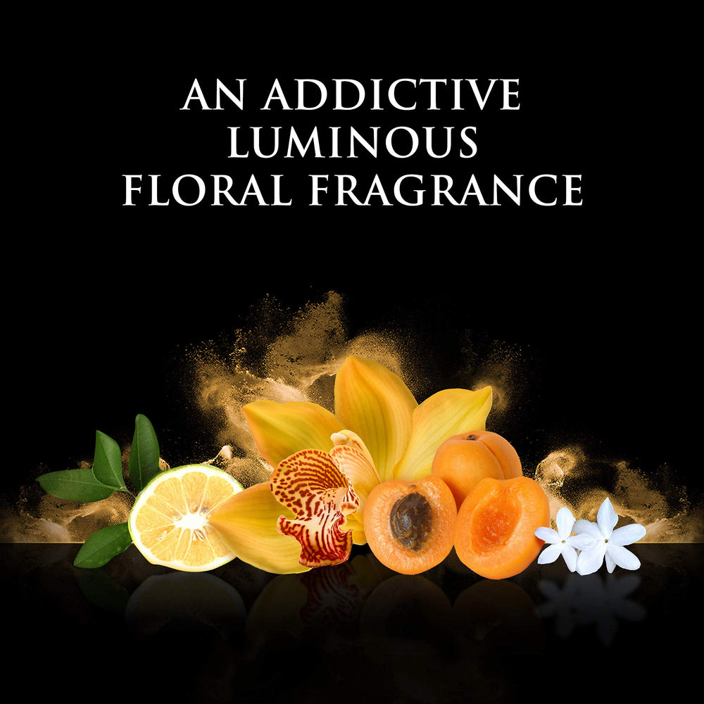 Beyoncé Rise: notas centrales con albaricoque dorado y orquídea.