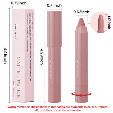 BINGBRUSH Crayon Matte tono 06, pigmentos intensos para color duradero