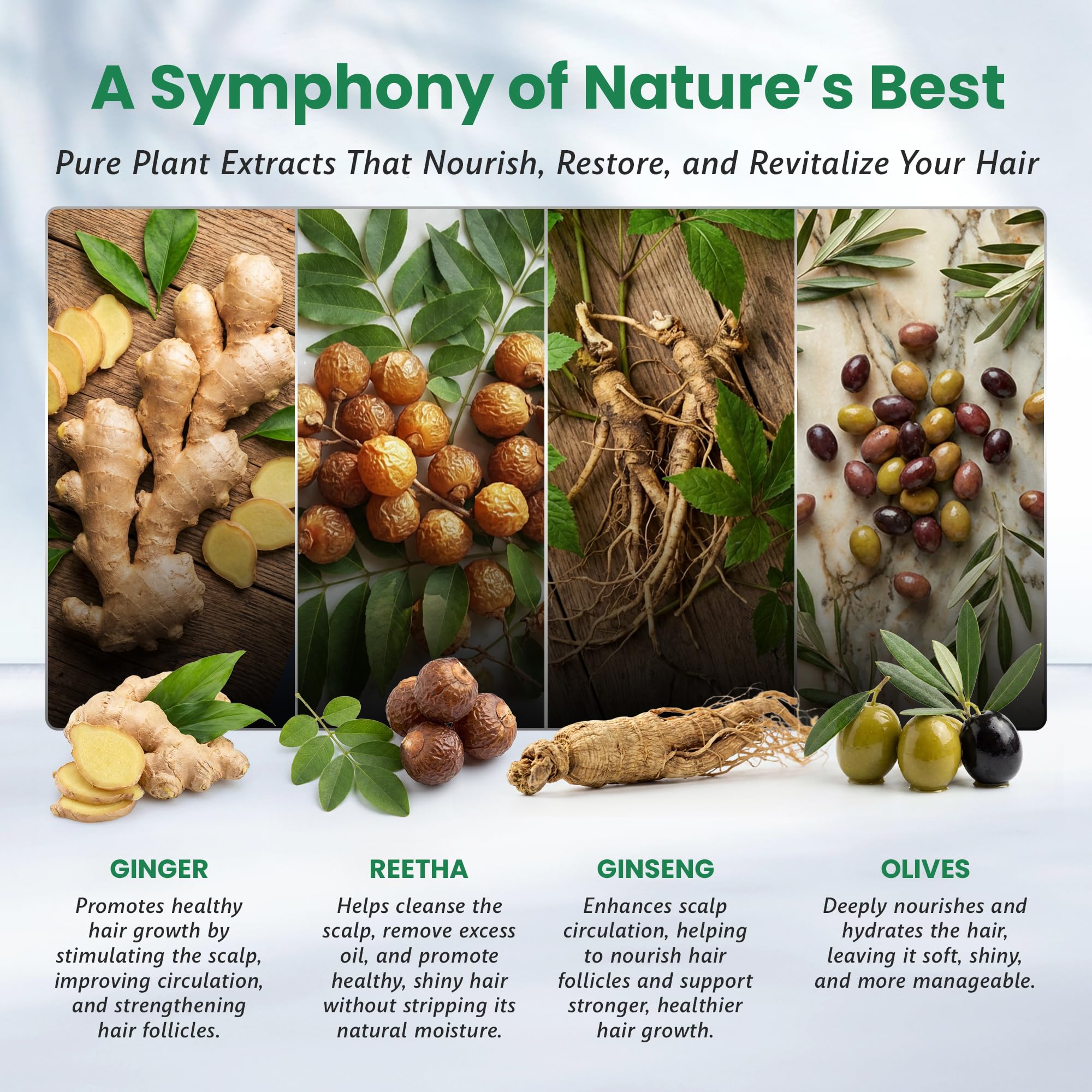 BIOGREEN ROOTS: protéine de blé, extrait coco et vitamine E pour l'hydratation.
