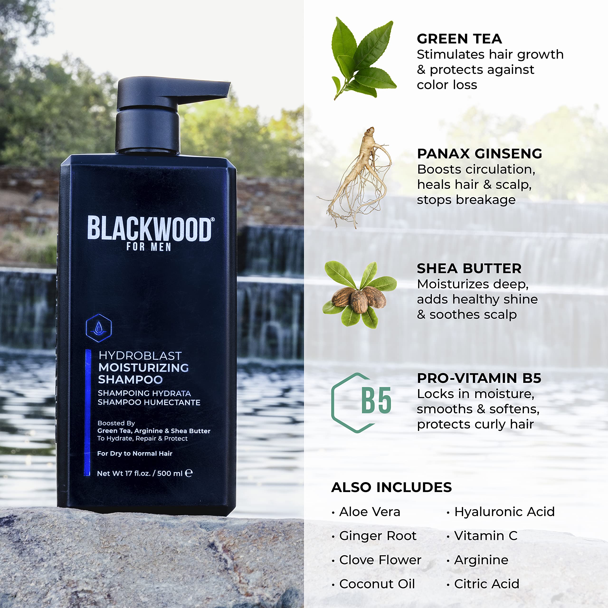 Blackwood For Men Hydroblast Shampoo, cuidado-del-couro-cabelludo: ayuda a calmar inflamación.