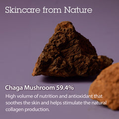 BLITHE Serum prensado Tundra Chaga: envase de lujo para rutina de cuidado