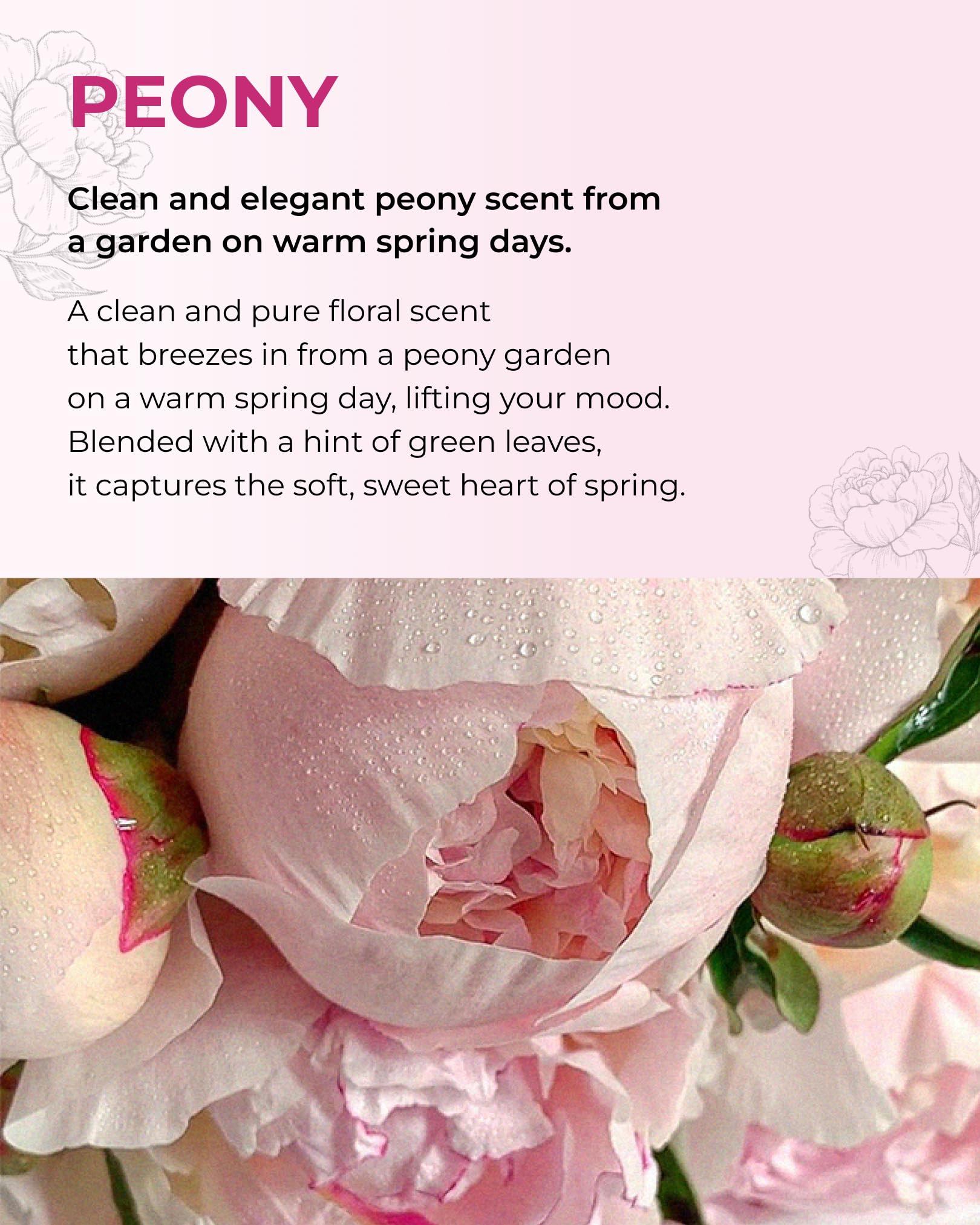 BOM Peony Garden: vitamina C y nutrientes para cuidado suave de la piel