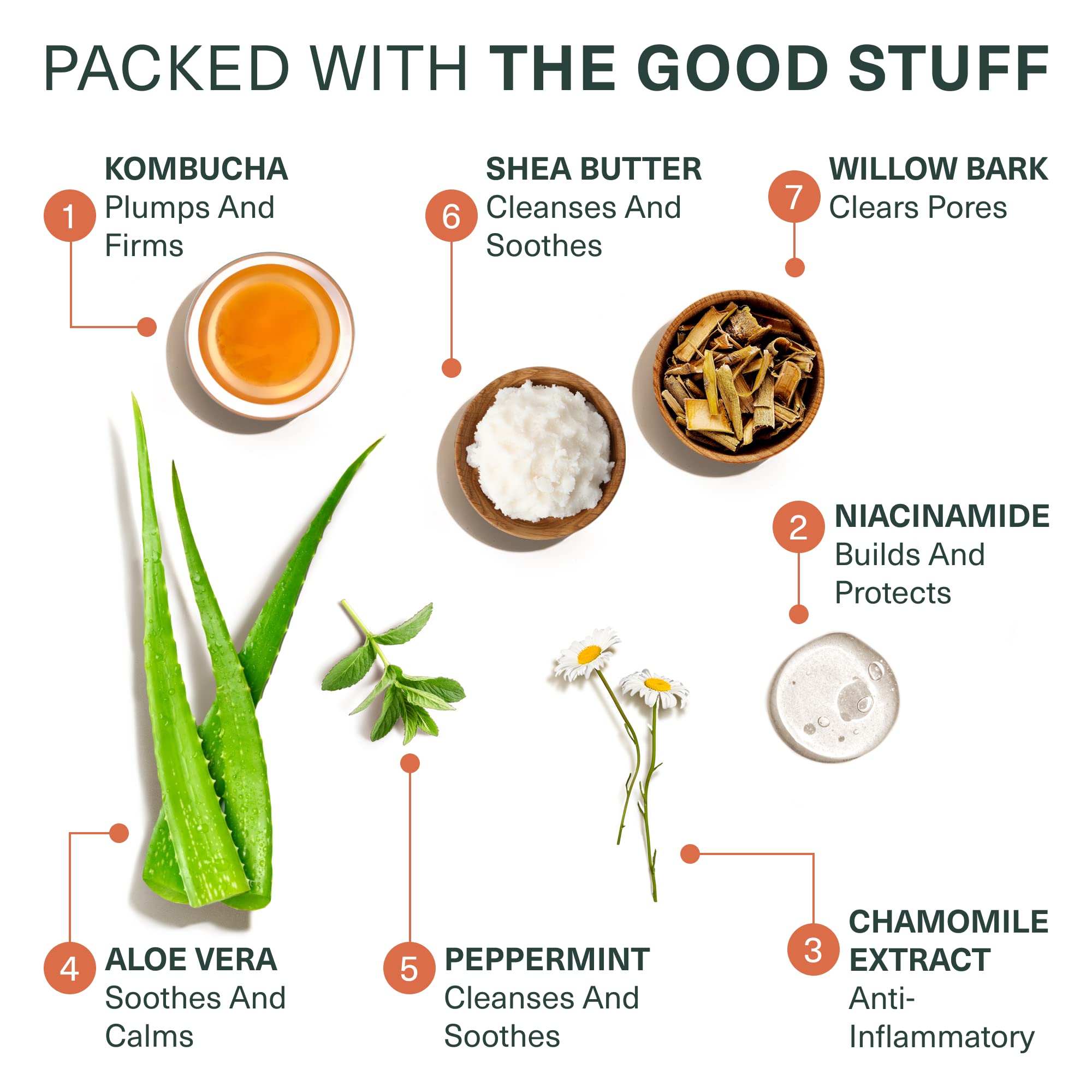 Botanic Tree ingredientes clave, glicólico y salicílico para renovación de la piel.