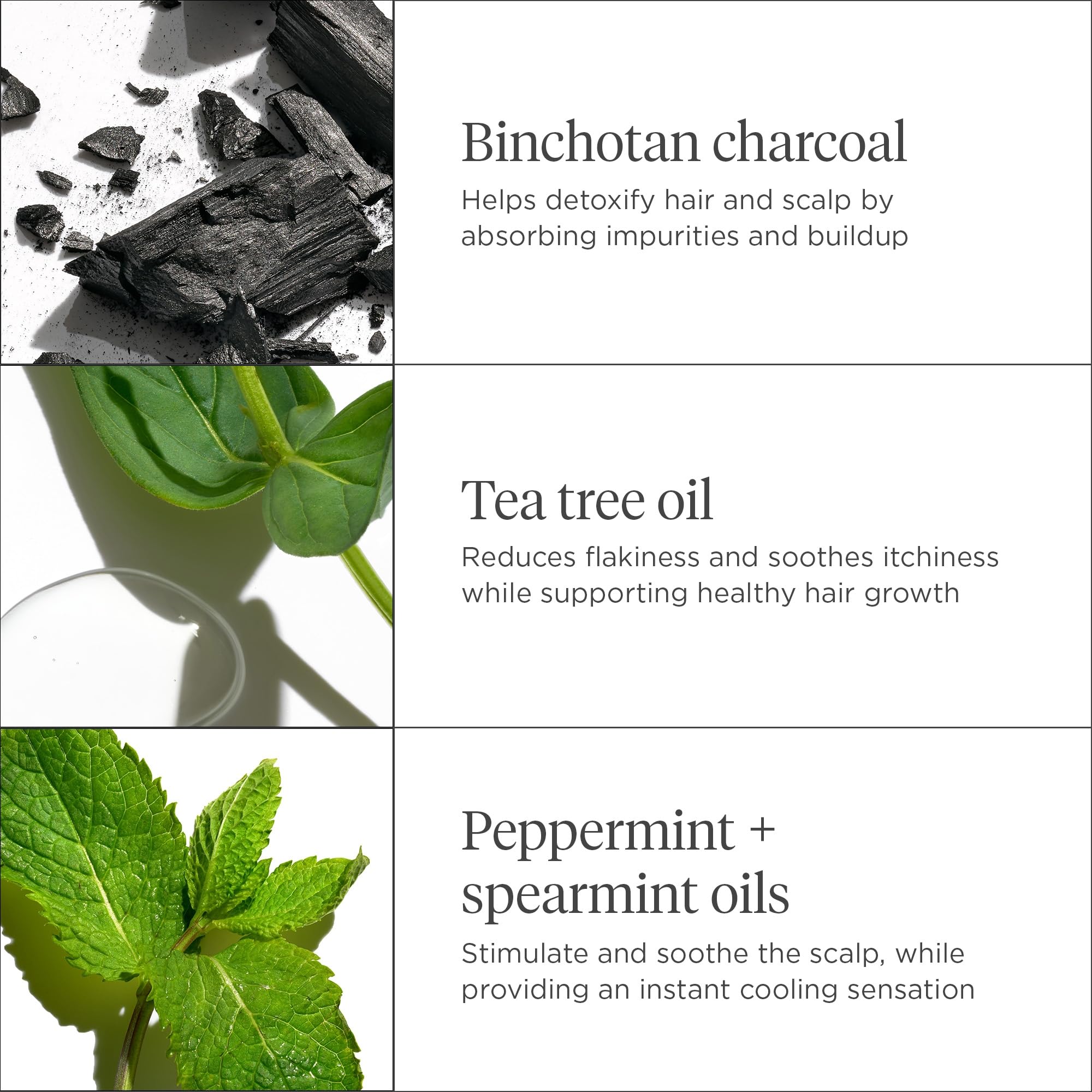 Aloe vera de Briogeo Scalp Revival para hidratación suave y calmante.