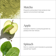 Briogeo Superfoods Matcha + Apple Champú etiqueta verde con matcha para protección ambiental