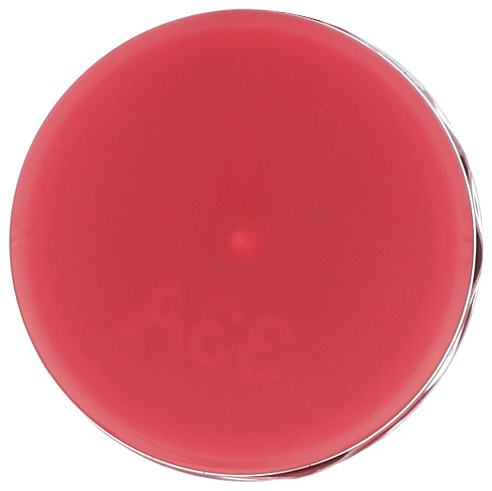 Burts Bees Magnolia, bálsamo labial con tinte suave para un look discreto.