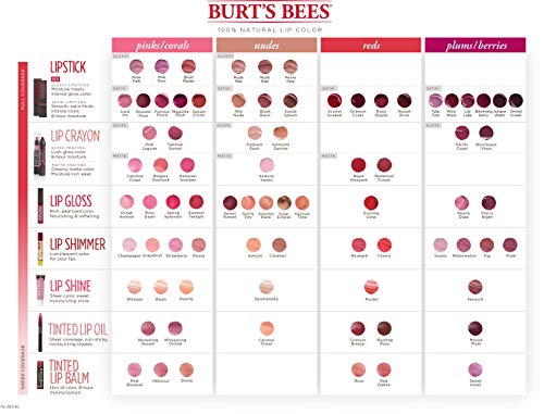 Burt's Bees bálsamo labial para uso diario, tamaño práctico para bolso