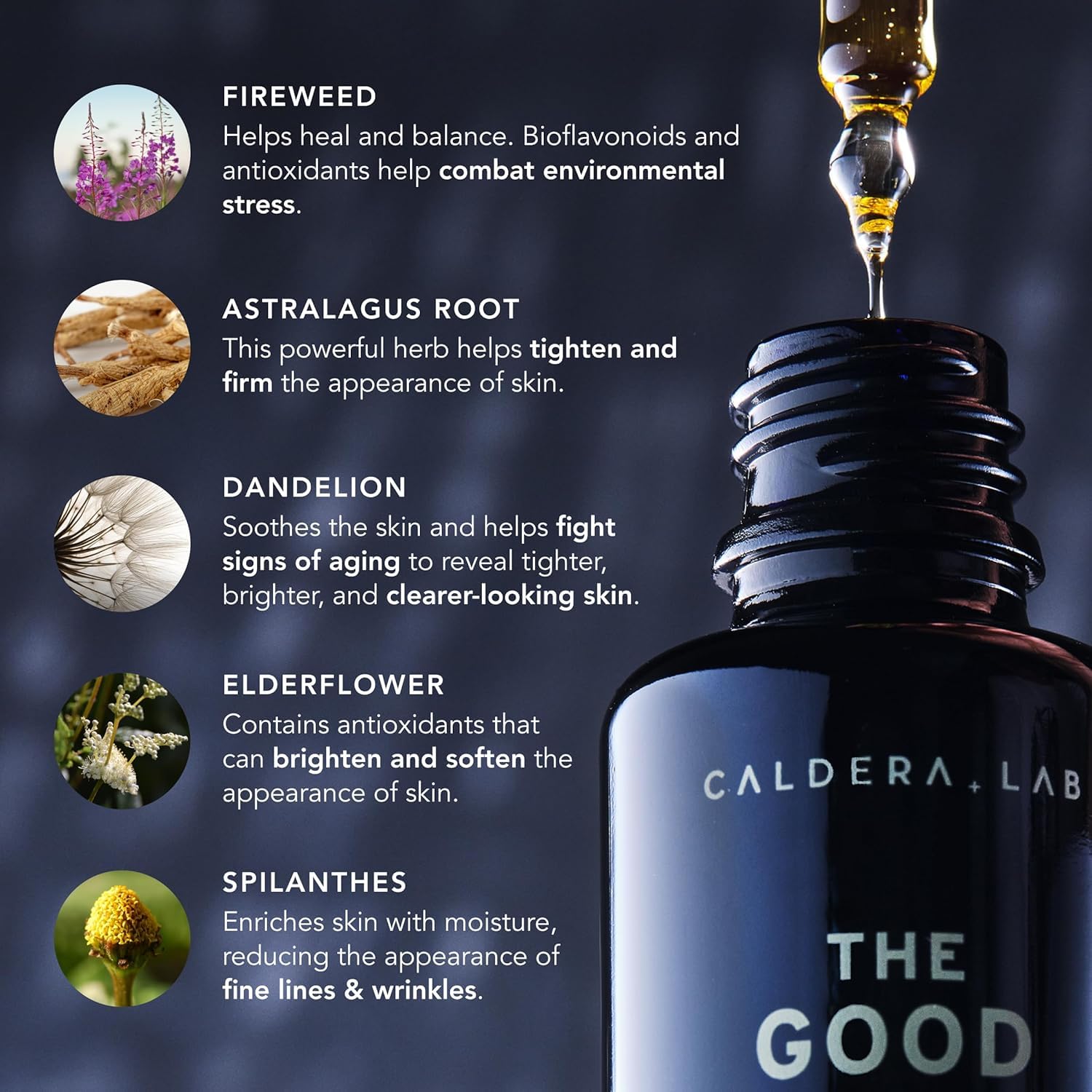 Caldera + Lab Régimen Rico ingredientes clave, antioxidantes y hidratación para la piel.