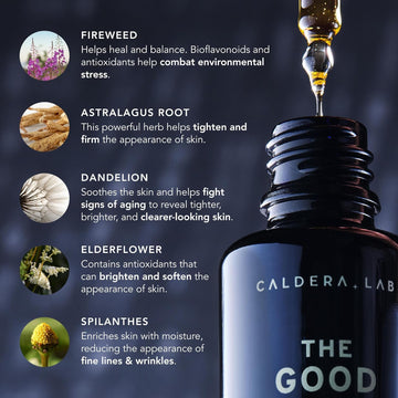 Caldera + Lab Régimen Rico ingredientes clave, antioxidantes y hidratación para la piel.