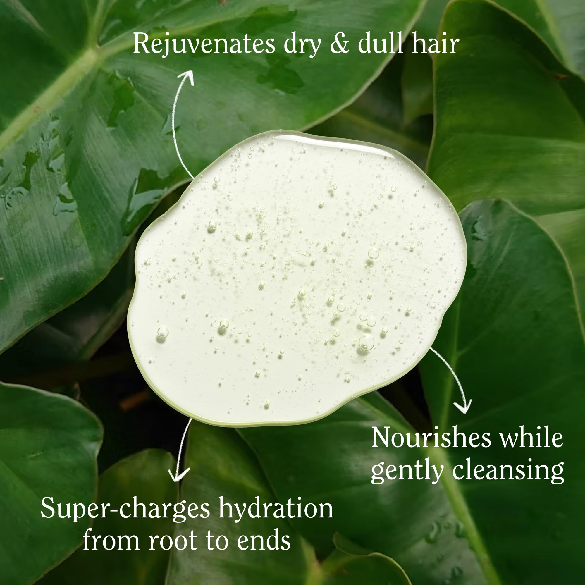 California Naturals Champú Hidratante con ingredientes Marula y Aloe para hidratación suave.