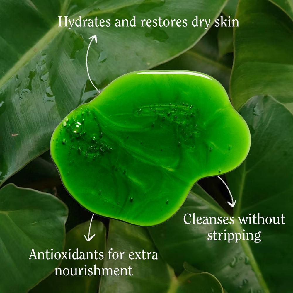 Foamy lather from California Naturals Body Wash during shower for hydration.