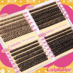 Calphdiar Lash Clusters 100D: pestañas densas para eventos.