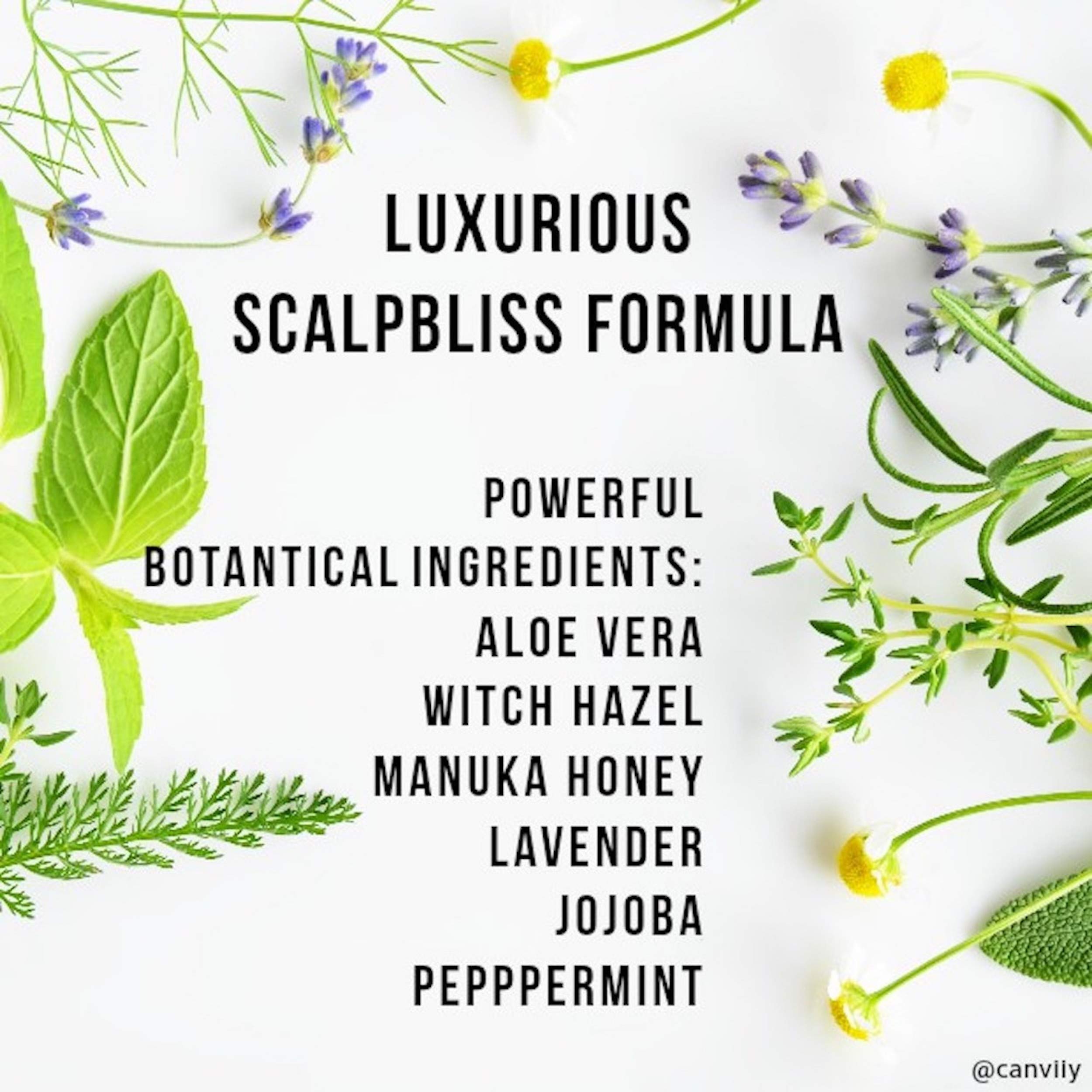 Canviiy ScalpBliss: textura ligera y no grasa para cuero cabelludo.