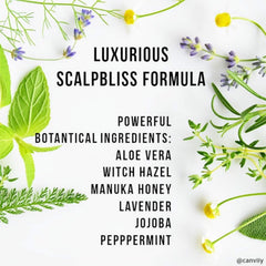 Canviiy ScalpBliss: textura ligera y no grasa para cuero cabelludo.