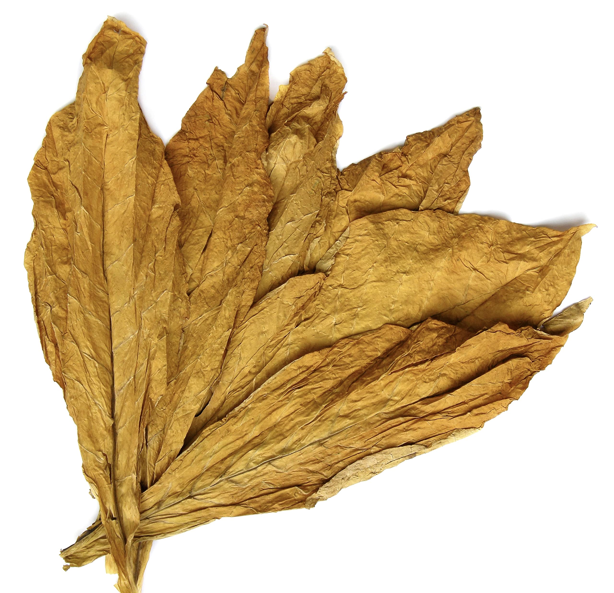 Carolina Castile Tobacco Vanilla: envase de galón para uso familiar prolongado.