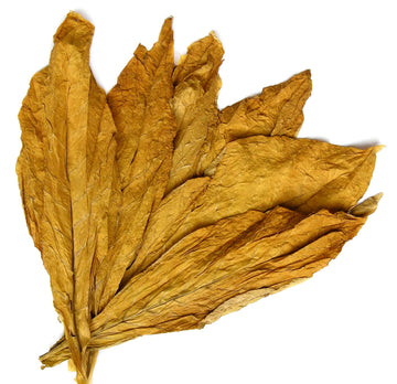 Carolina Castile Tobacco Vanilla: envase de galón para uso familiar prolongado.