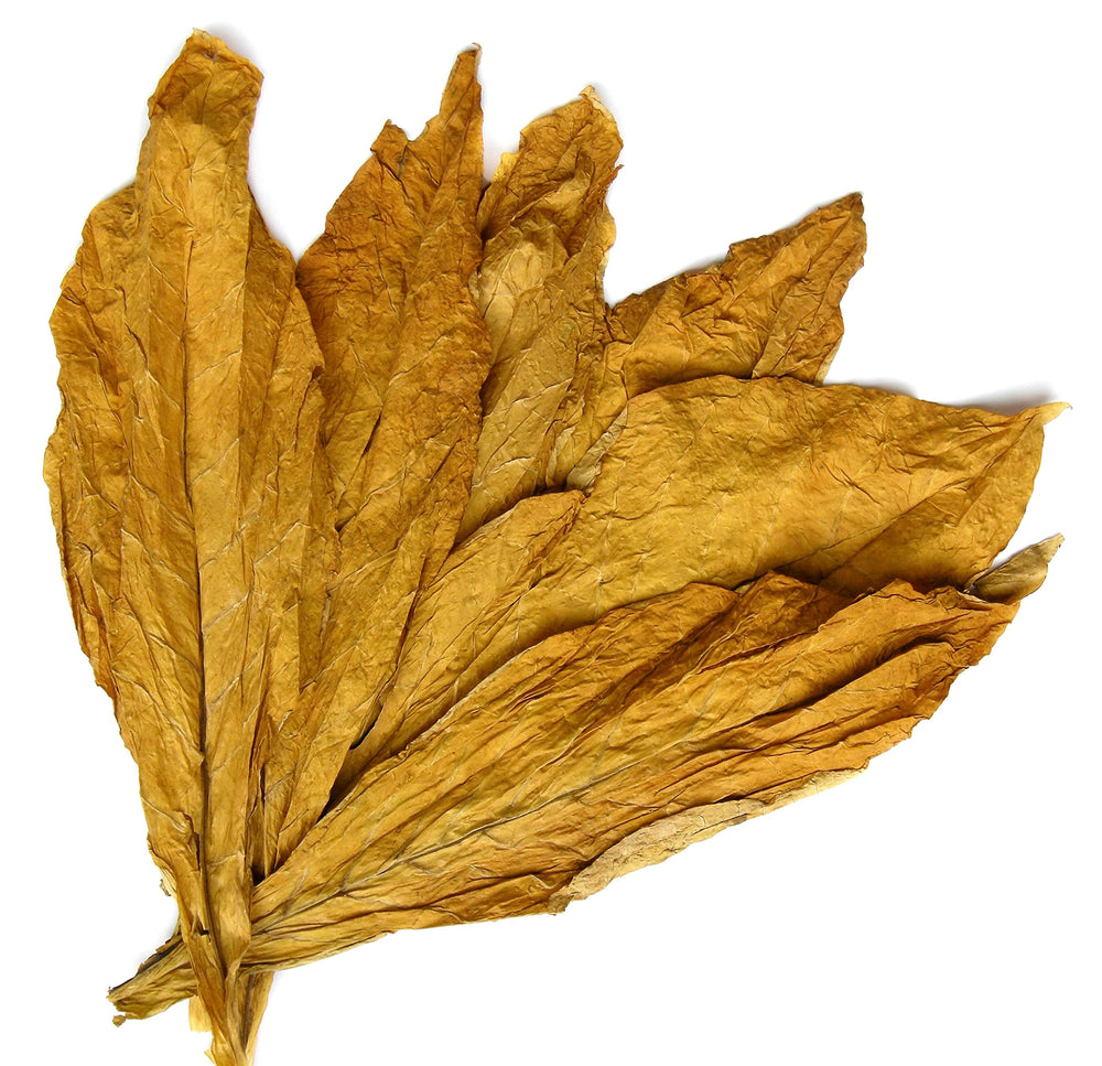 Carolina Castile Tobacco Vanilla: envase de galón para uso familiar prolongado.