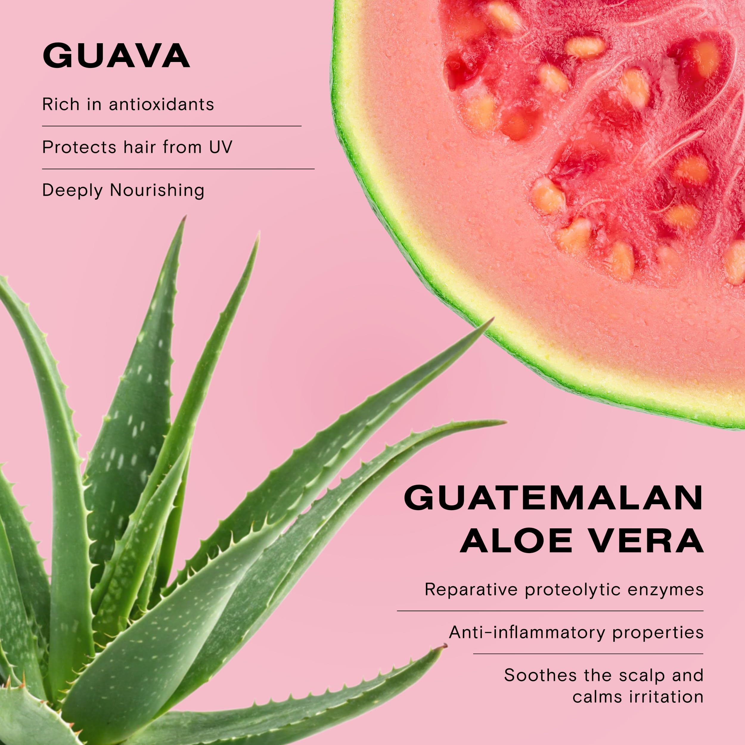 Application sous la douche avec le shampoing Ceremonia Guava.