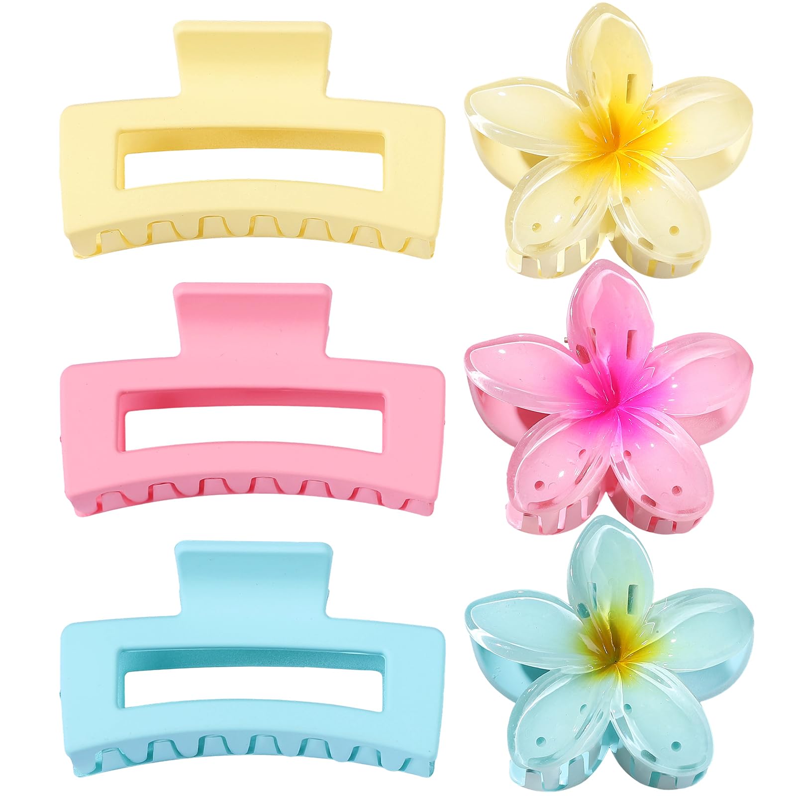 CHANDAT empaque de clips para organización y transporte fácil.