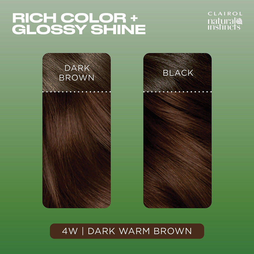 Folleto de instrucciones de Clairol Natural Instincts para proceso sencillo.