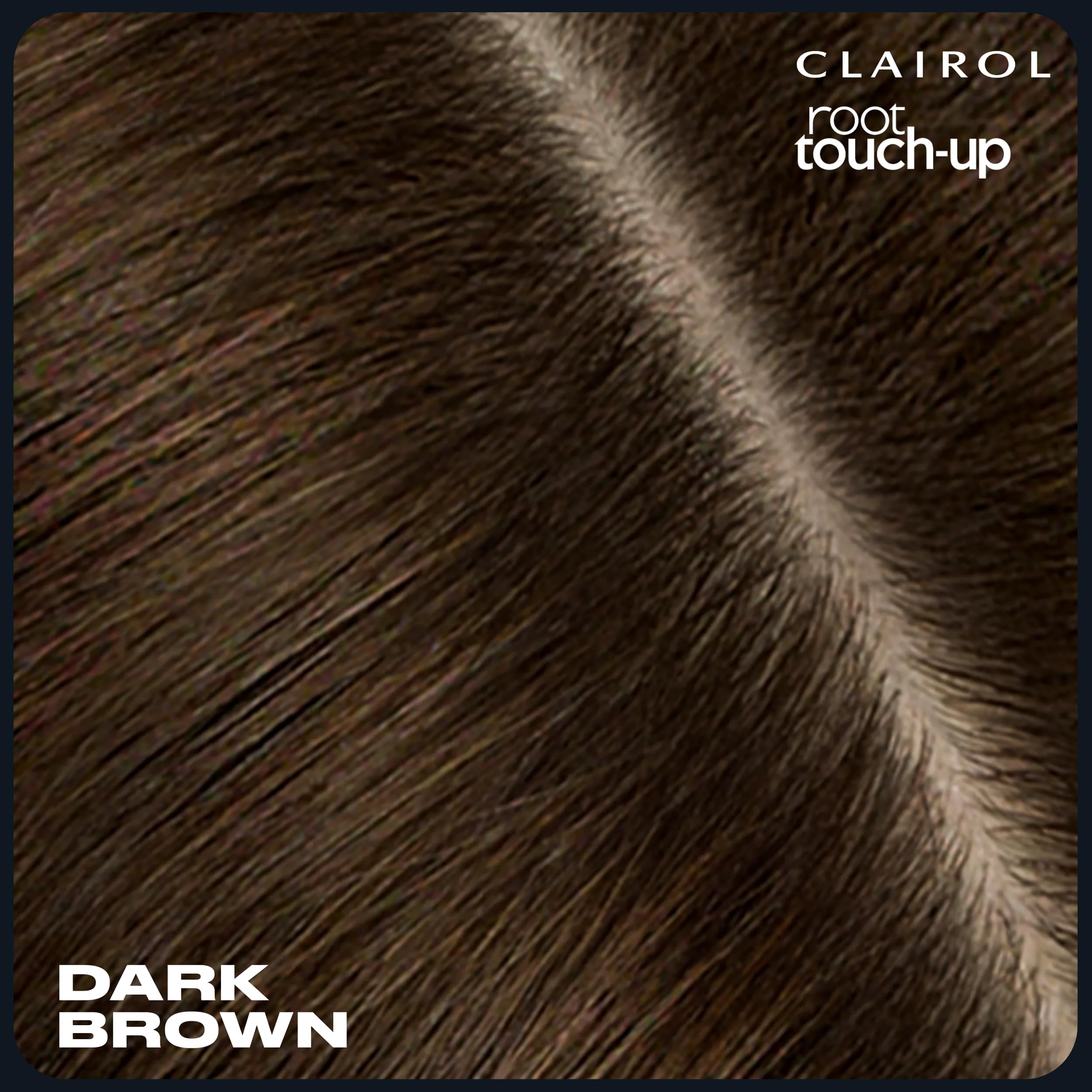 Clairol polvo ocultación, cubre hebras sueltas para retoques precisos.