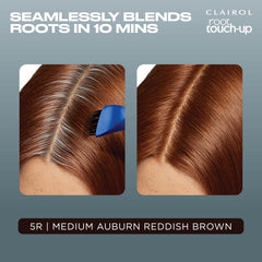 Clairol Root Touch-Up kit completo para retoque en casa