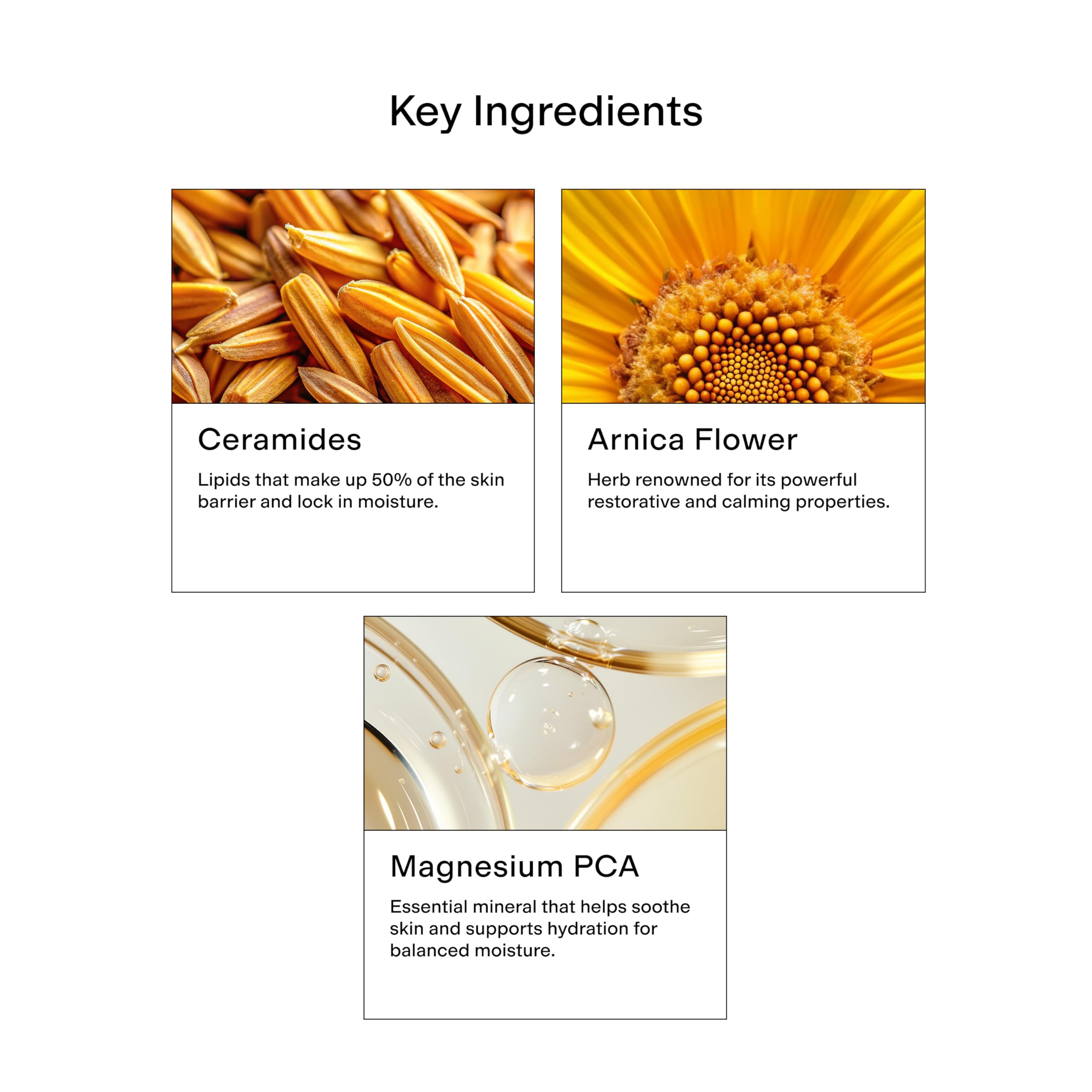 CLEARSTEM Hydraberry ceramidas para fortalecer la barrera cutánea.