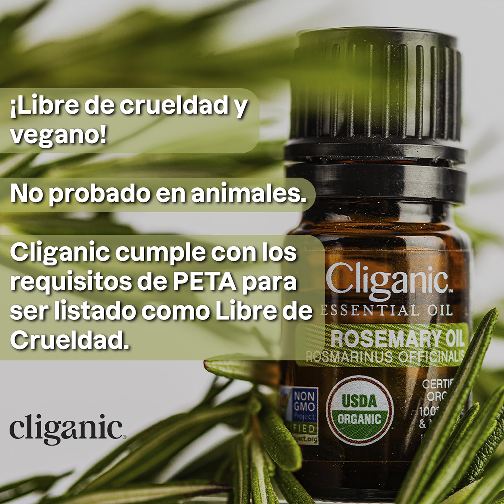 Kit aplicador doble para cejas y pestañas de Cliganic.