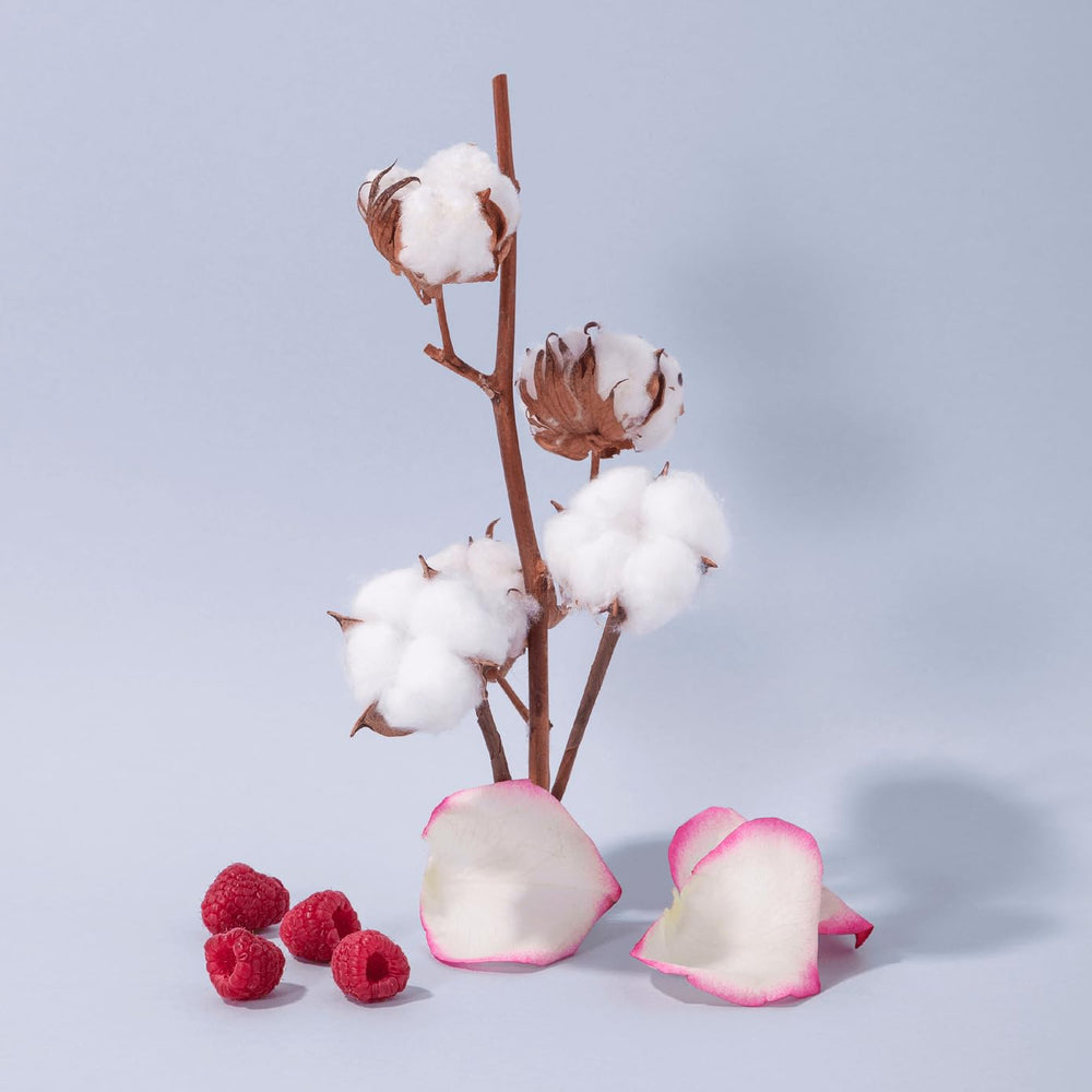 Ambiance douce Fleur de Coton évoquant propreté et confort