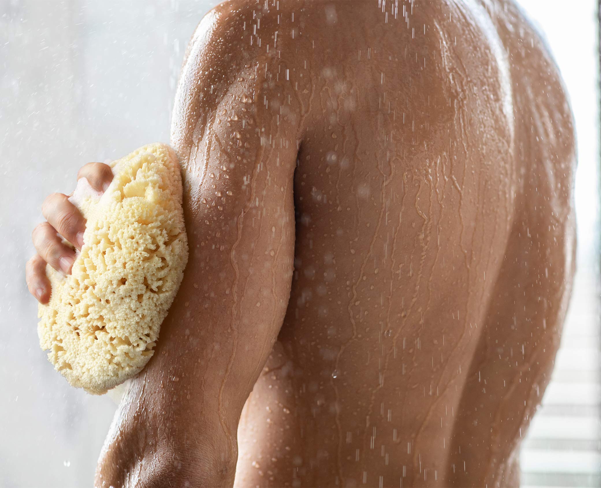 Esponja marina Constantia Man en ducha para una experiencia vigorizante.