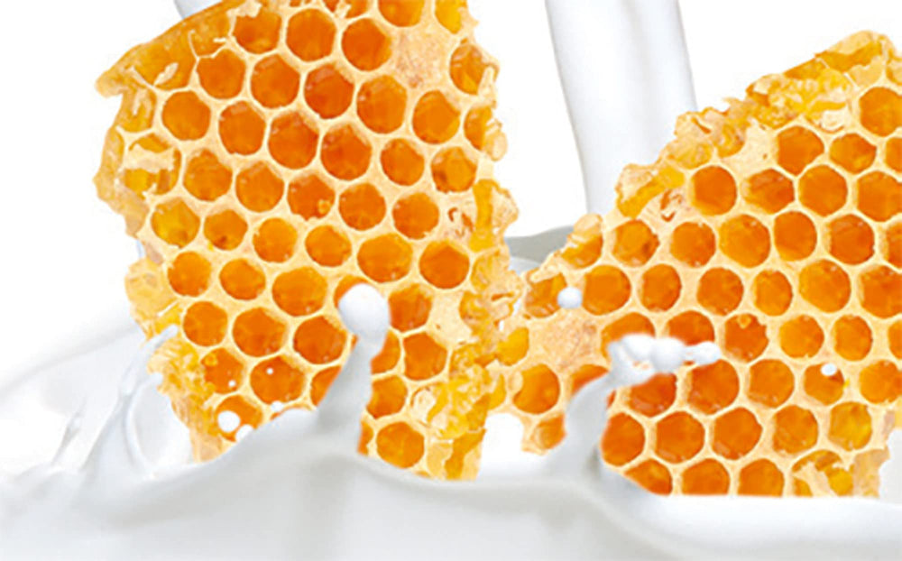 Cuccio Naturale aceite de semilla de girasol para nutrición de la piel.