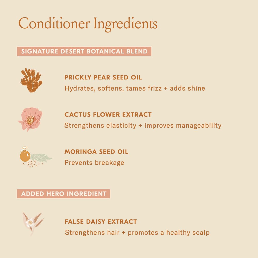 DAE Signature Sans Sulfate - Formulation végane et sans colorants