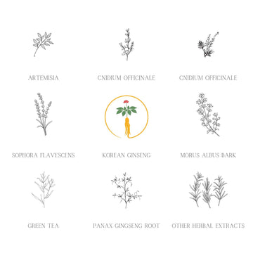 Aroma herbal fresco durante el lavado para experiencia sensorial.