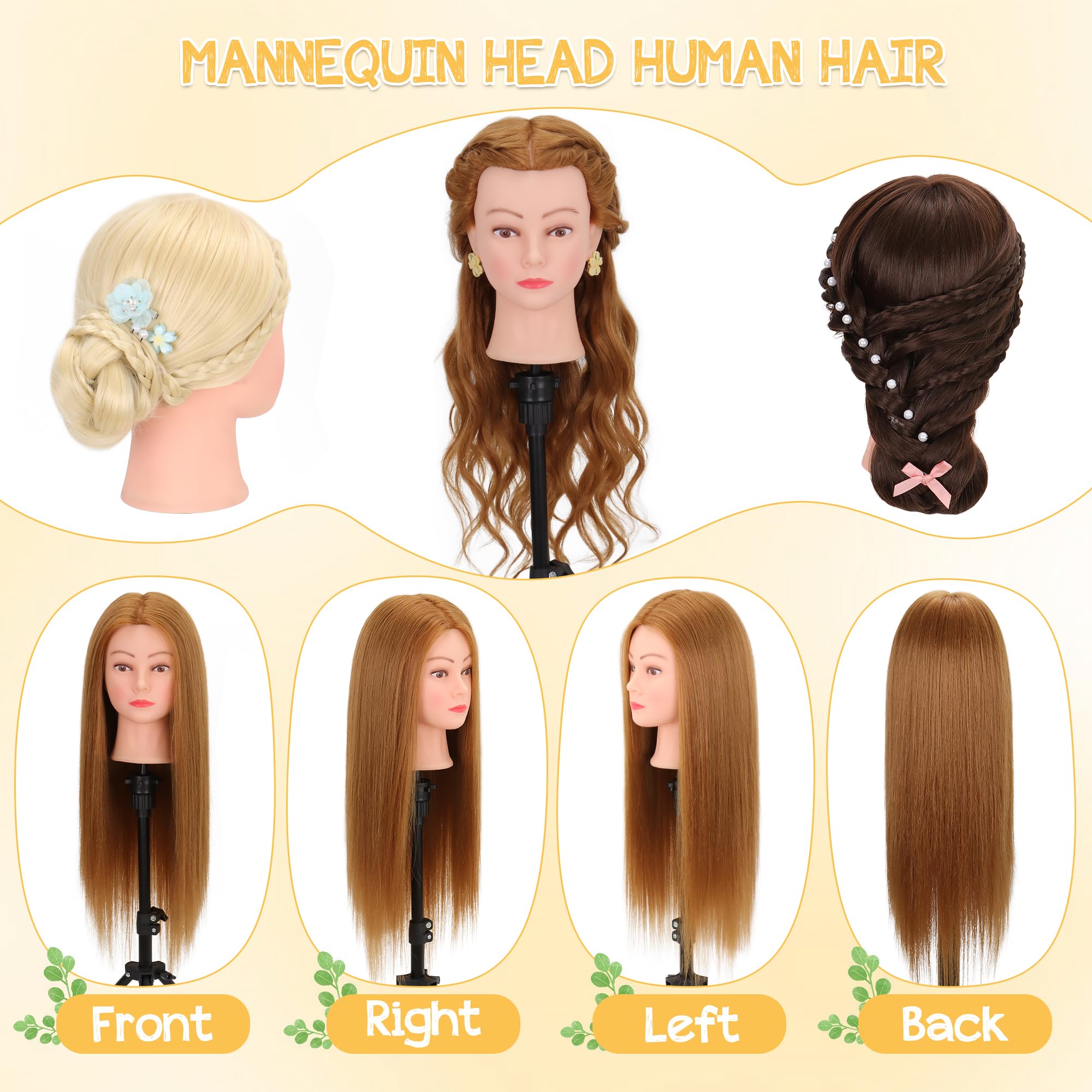 Cuidado del pelo humano en Demides, ideal para lavado y acondicionamiento.