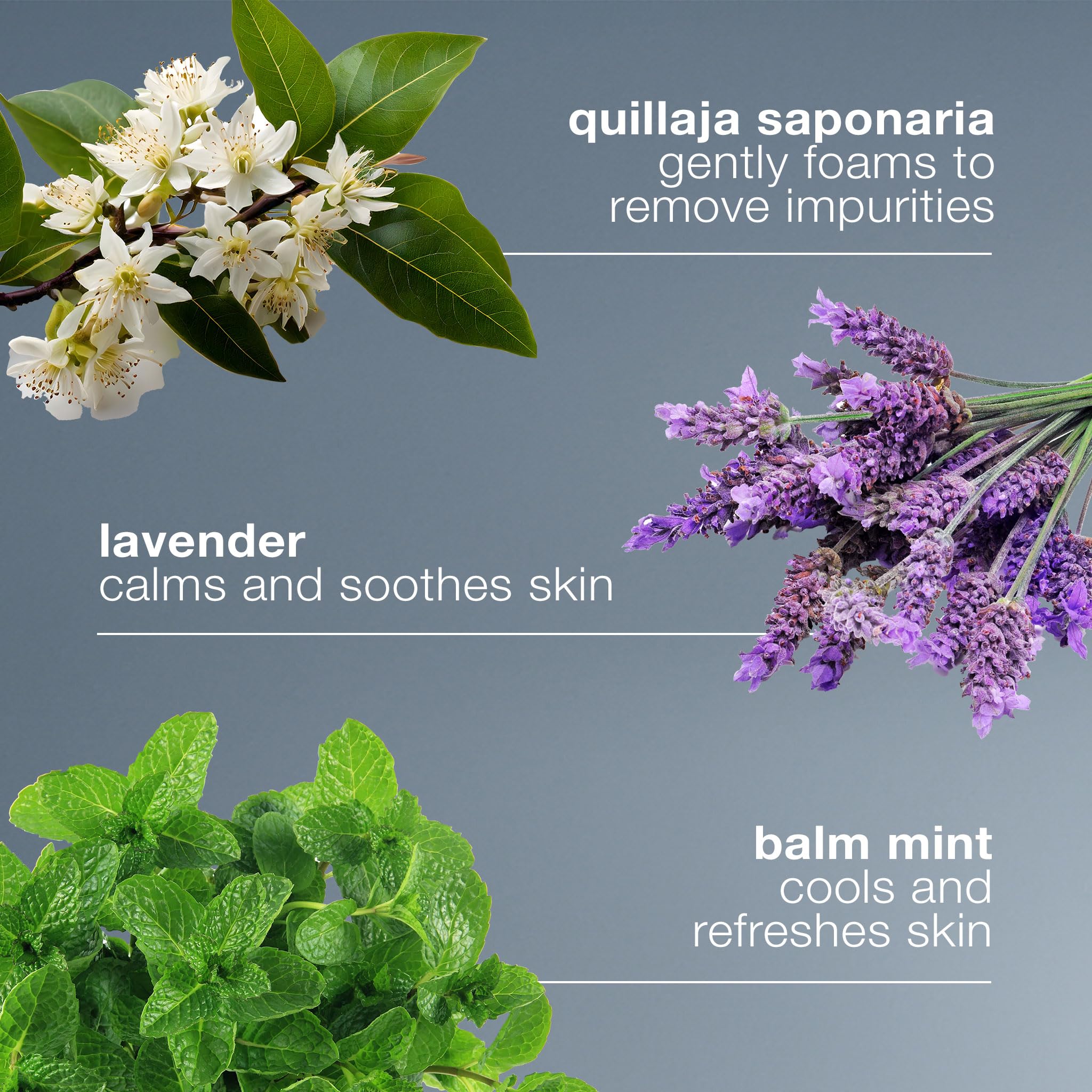 Dermalogica gel limpiador suave, calma la piel para uso diario.