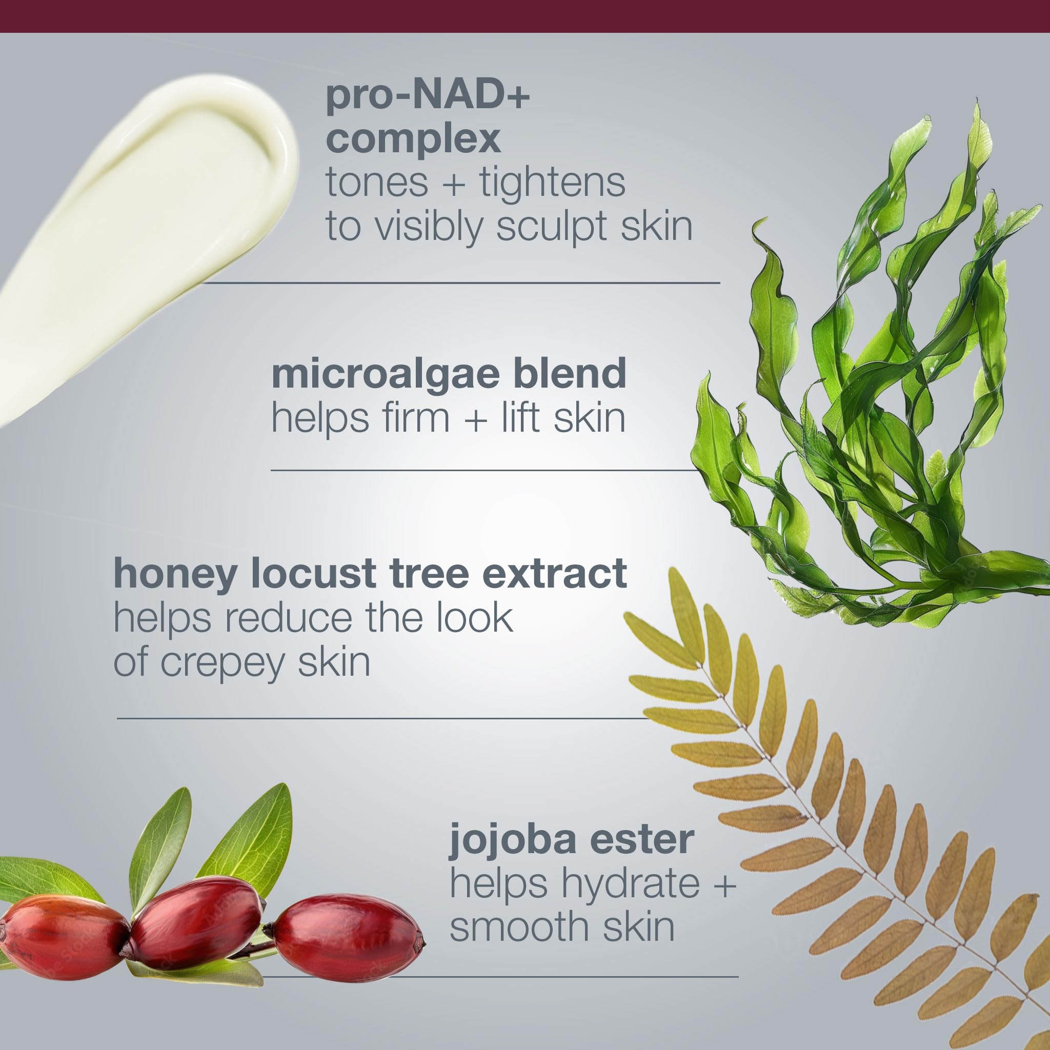 Dermalogica Textura cremosa de cuerpo se absorbe rápidamente