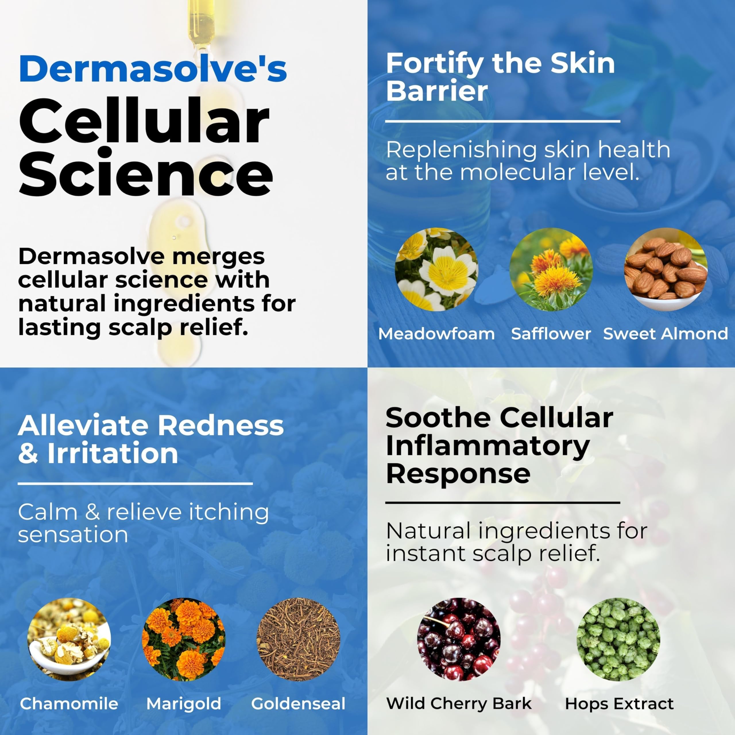 Dermasolve huile meadowfoam – nourrissante pour cheveux secs et cuir chevelu.