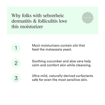 Dermazen Purificador: disrupción del biofilm para llegar a irritantes sin aceites.