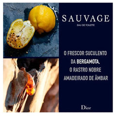 Dior Sauvage notas ámbar-madera: base cálida para ocasiones nocturnas.