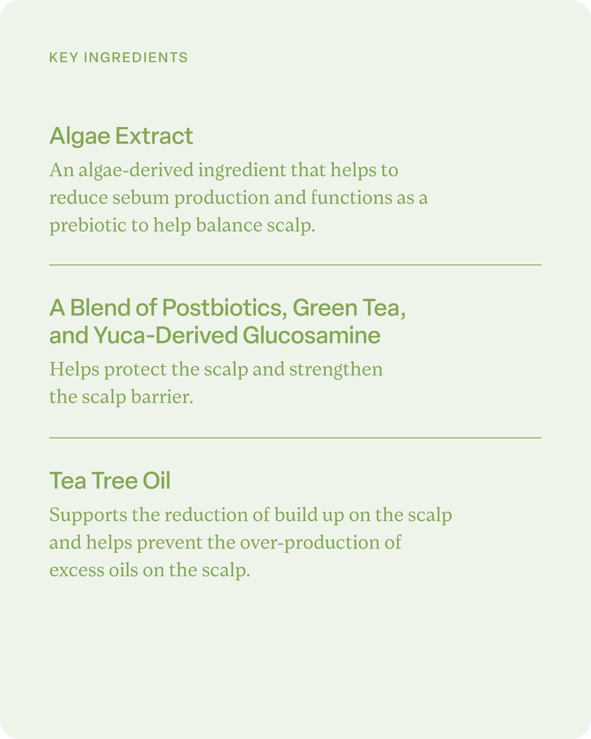 Divi Champú Hidratante: aceite de árbol de té limpia profundamente.
