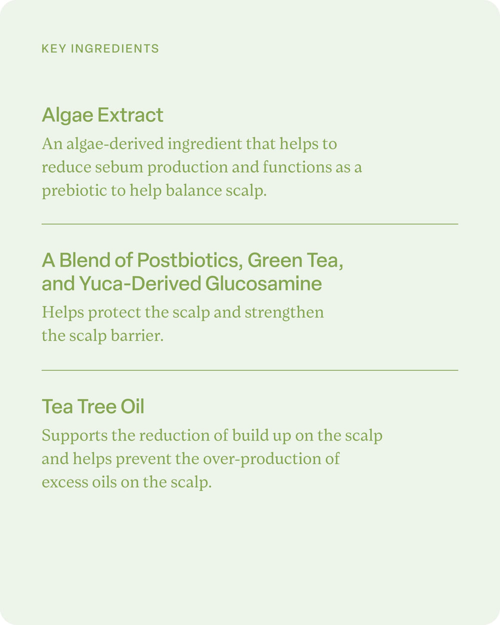 Divi Champú Hidratante: aceite de árbol de té limpia profundamente.
