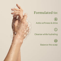 Divi Champú Hidratante: aplicación en mano muestra textura rica para lavado.