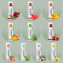 Dmsky lip balm set with 10 flavors for versatile use.